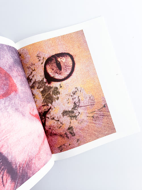 APOPHENIA VOLUME 03: In Medias Res / Julie Wolfe