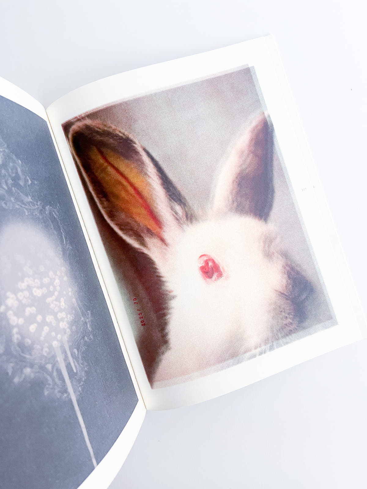 APOPHENIA VOLUME 03: In Medias Res / Julie Wolfe