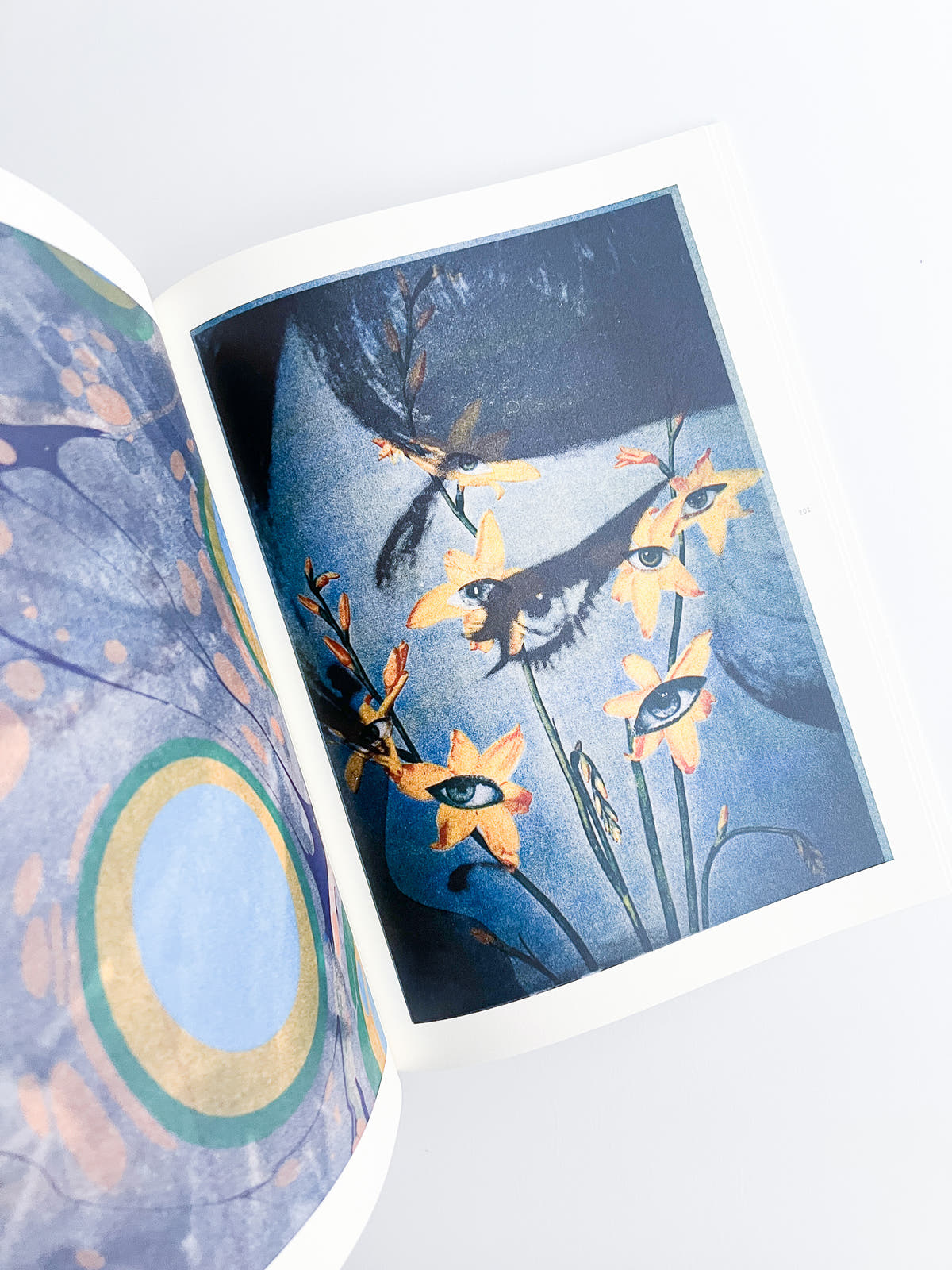 APOPHENIA VOLUME 03: In Medias Res / Julie Wolfe