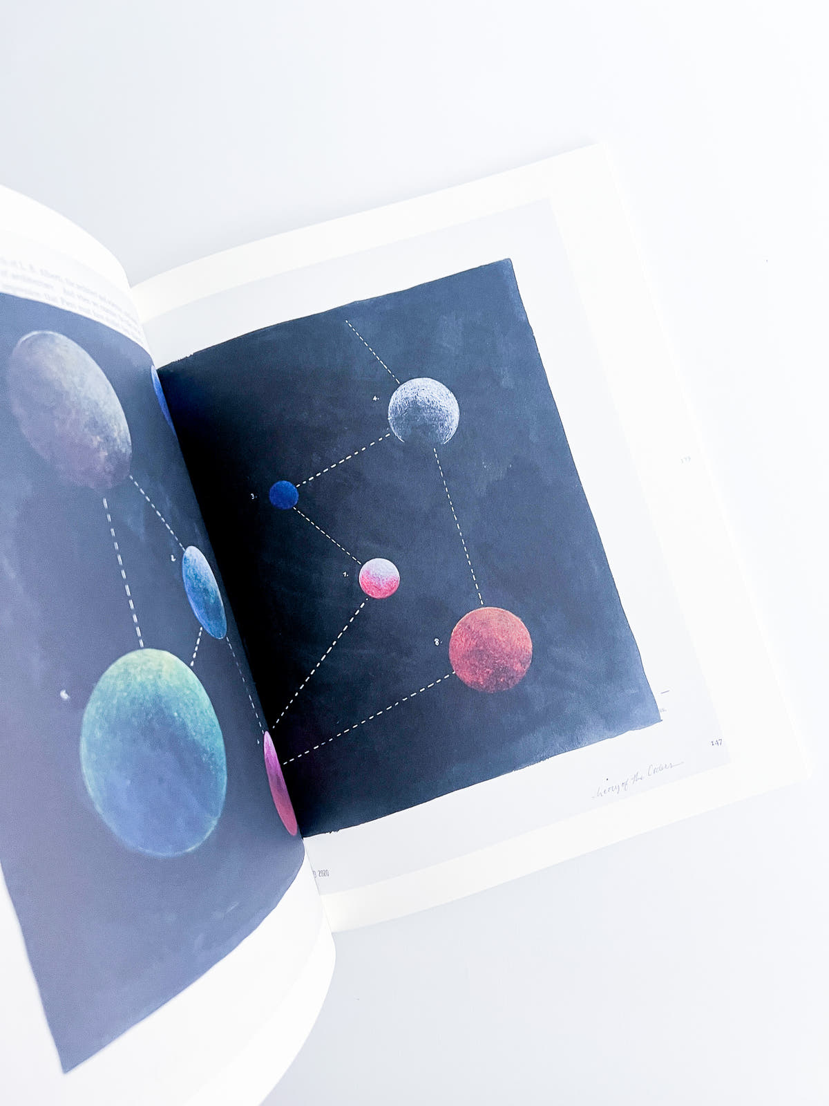 APOPHENIA VOLUME 03: In Medias Res / Julie Wolfe