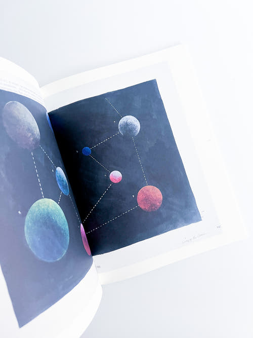 APOPHENIA VOLUME 03: In Medias Res / Julie Wolfe