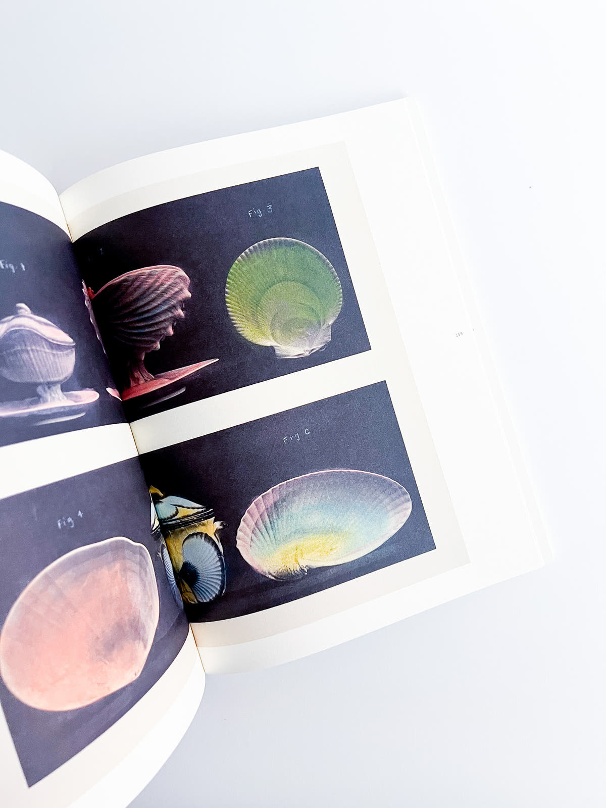APOPHENIA VOLUME 03: In Medias Res / Julie Wolfe