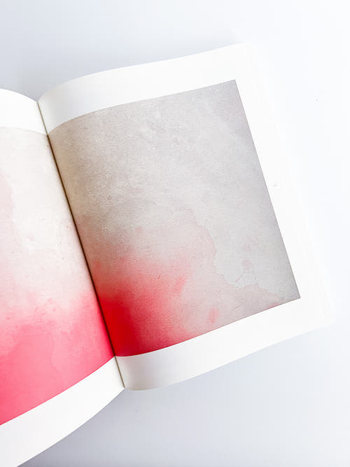 APOPHENIA VOLUME 03: In Medias Res / Julie Wolfe