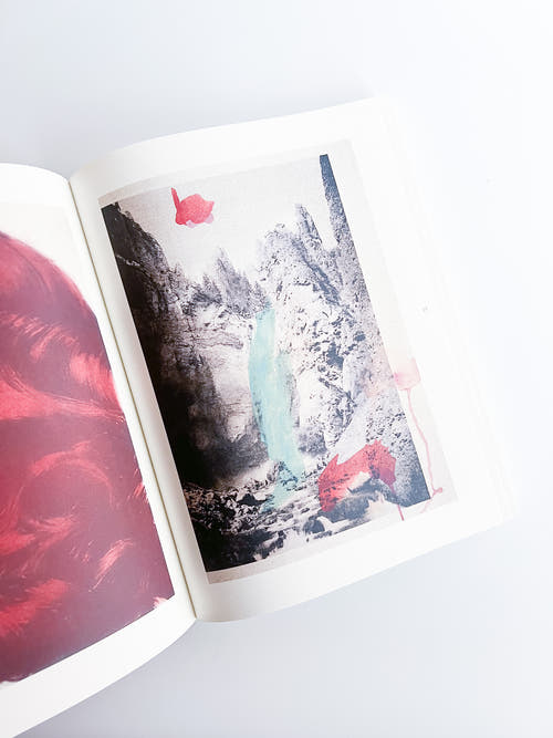 APOPHENIA VOLUME 03: In Medias Res / Julie Wolfe