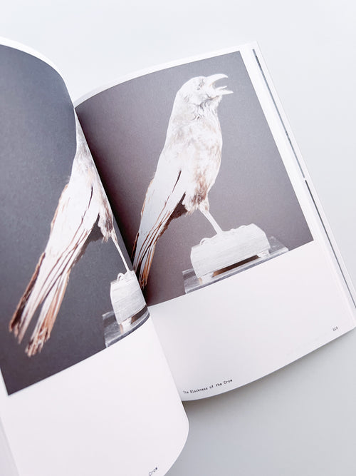 Ornithology (new edition) / Anne Geene & Arjan De Nooy