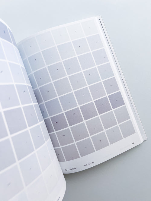 Ornithology (new edition) / Anne Geene & Arjan De Nooy