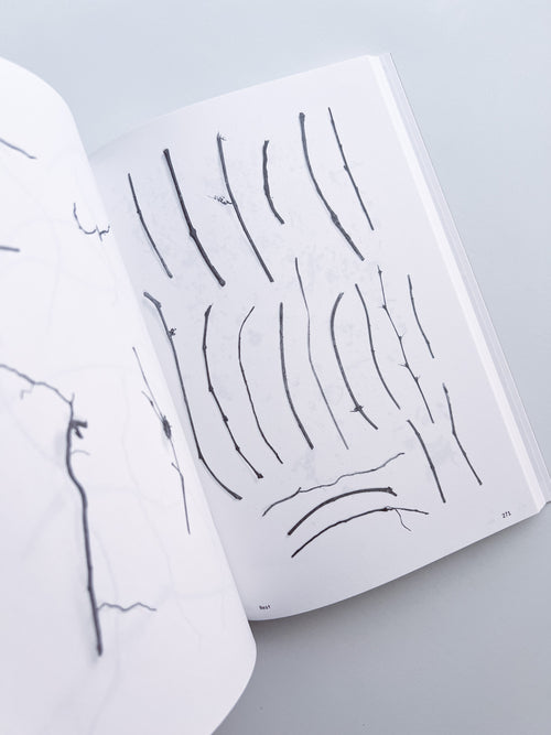 Ornithology (new edition) / Anne Geene & Arjan De Nooy