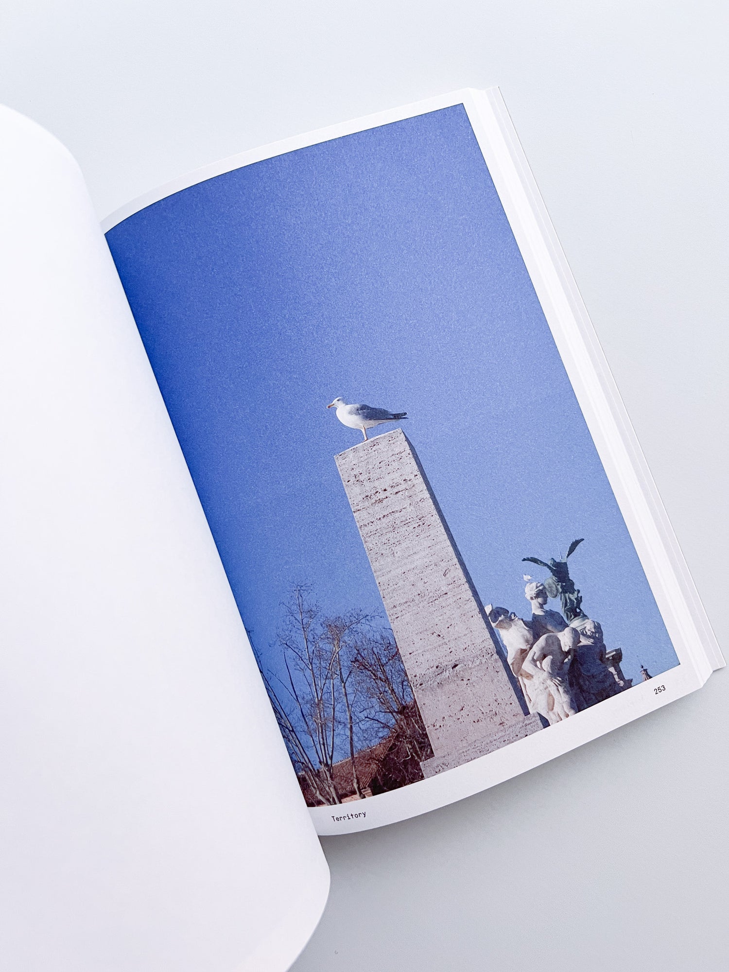 Ornithology (new edition) / Anne Geene & Arjan De Nooy