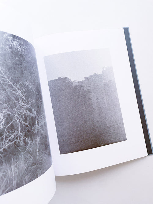 DISTRIBUTION / Daniel Shea [SIGNED]