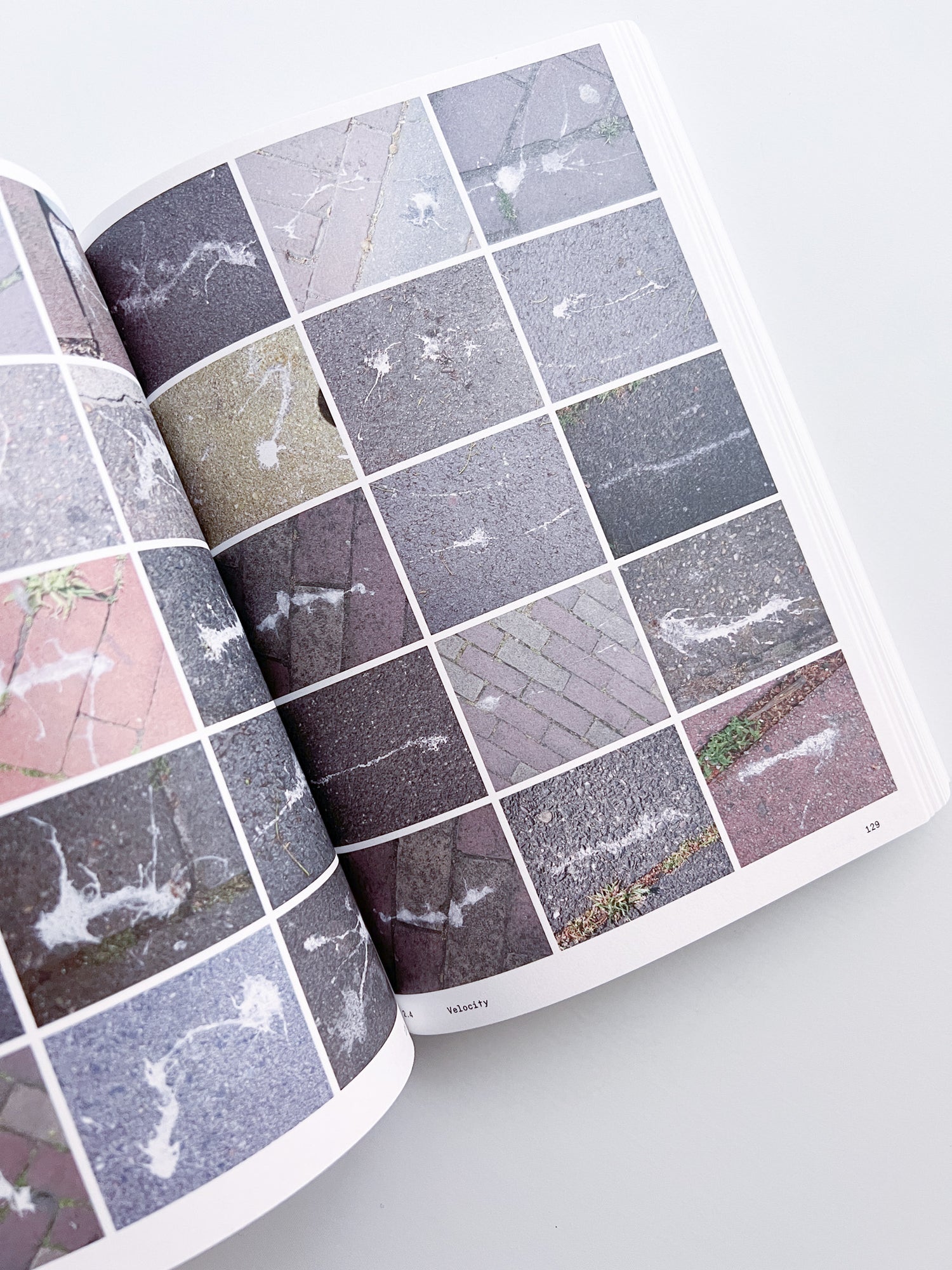 Ornithology (new edition) / Anne Geene & Arjan De Nooy