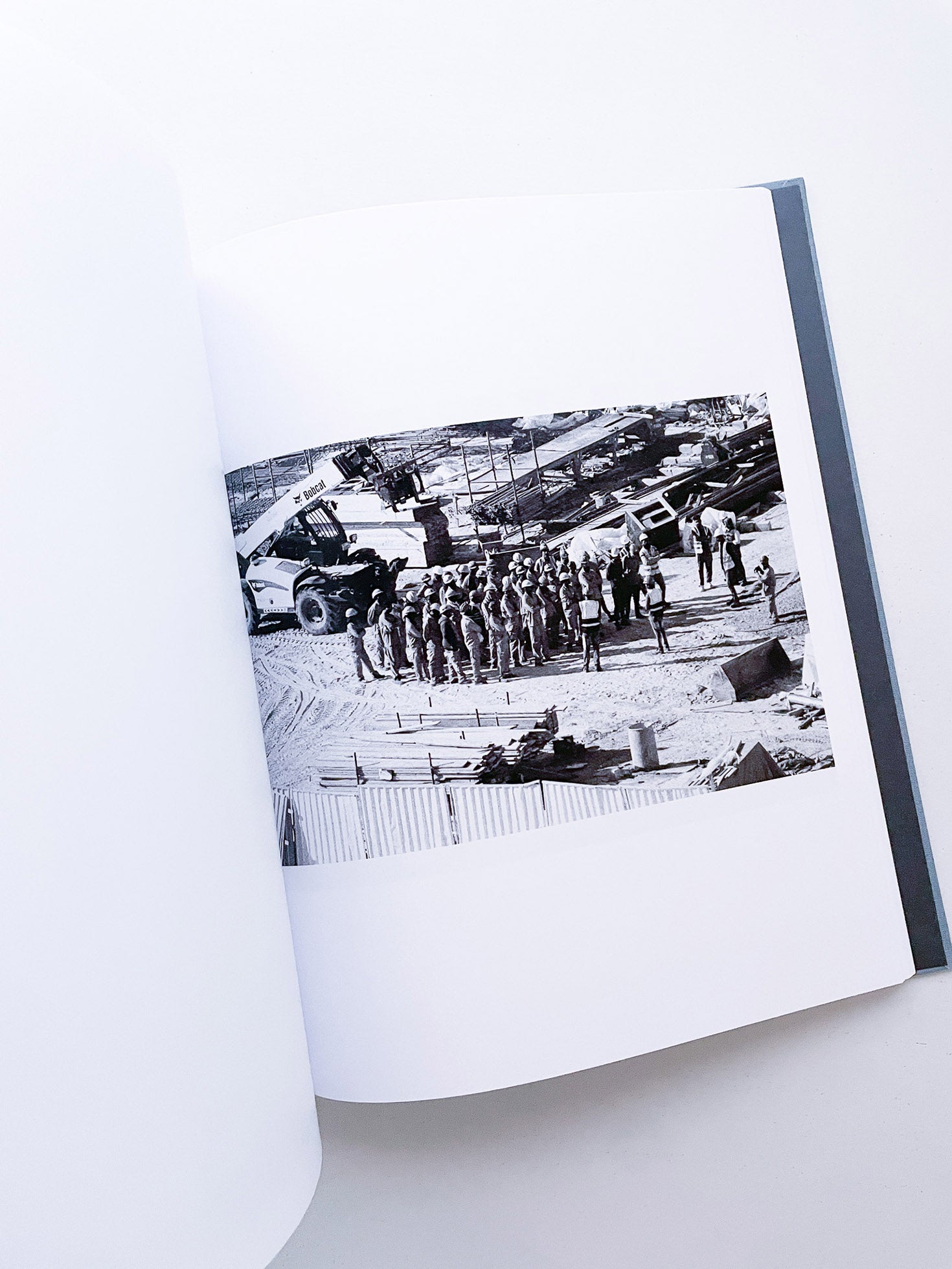 DISTRIBUTION / Daniel Shea [SIGNED]