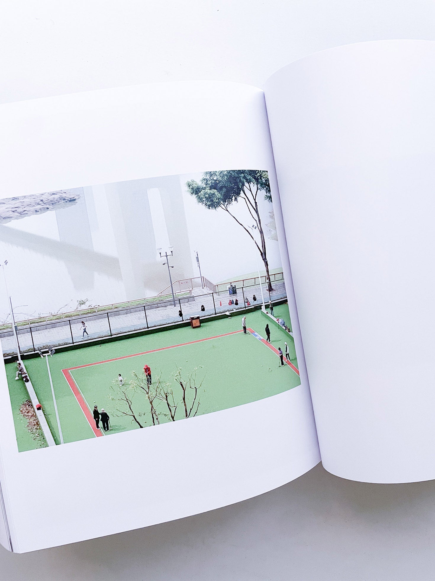 DISTRIBUTION / Daniel Shea [SIGNED]