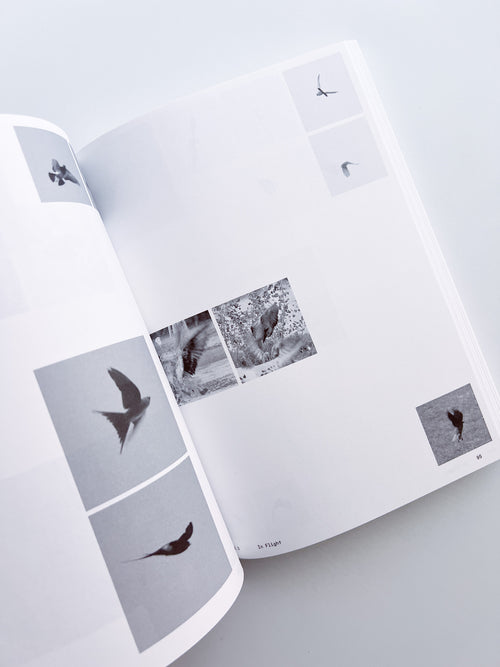 Ornithology (new edition) / Anne Geene & Arjan De Nooy