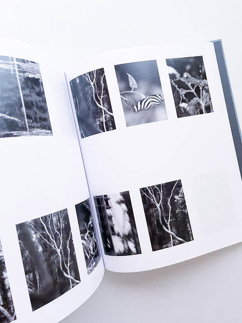 DISTRIBUTION / Daniel Shea [SIGNED]