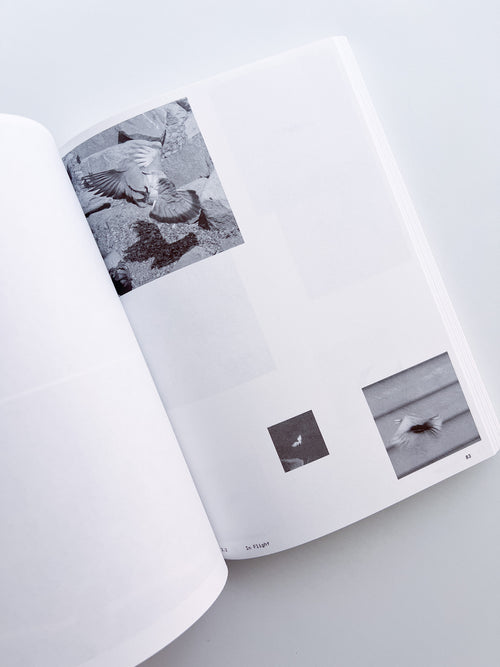 Ornithology (new edition) / Anne Geene & Arjan De Nooy