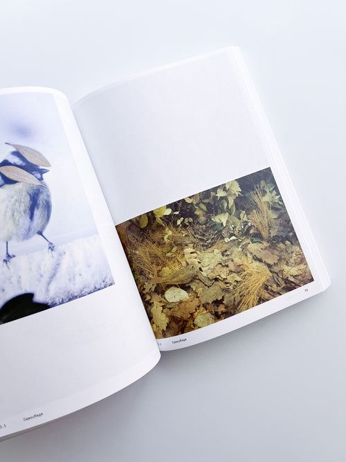 Ornithology (new edition) / Anne Geene & Arjan De Nooy