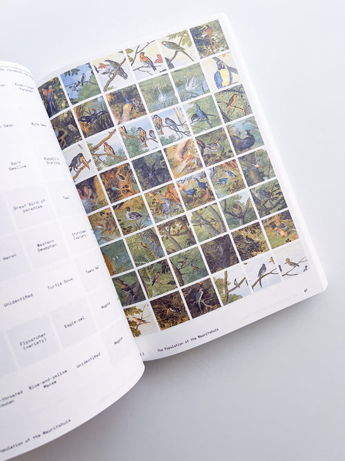 Ornithology (new edition) / Anne Geene & Arjan De Nooy