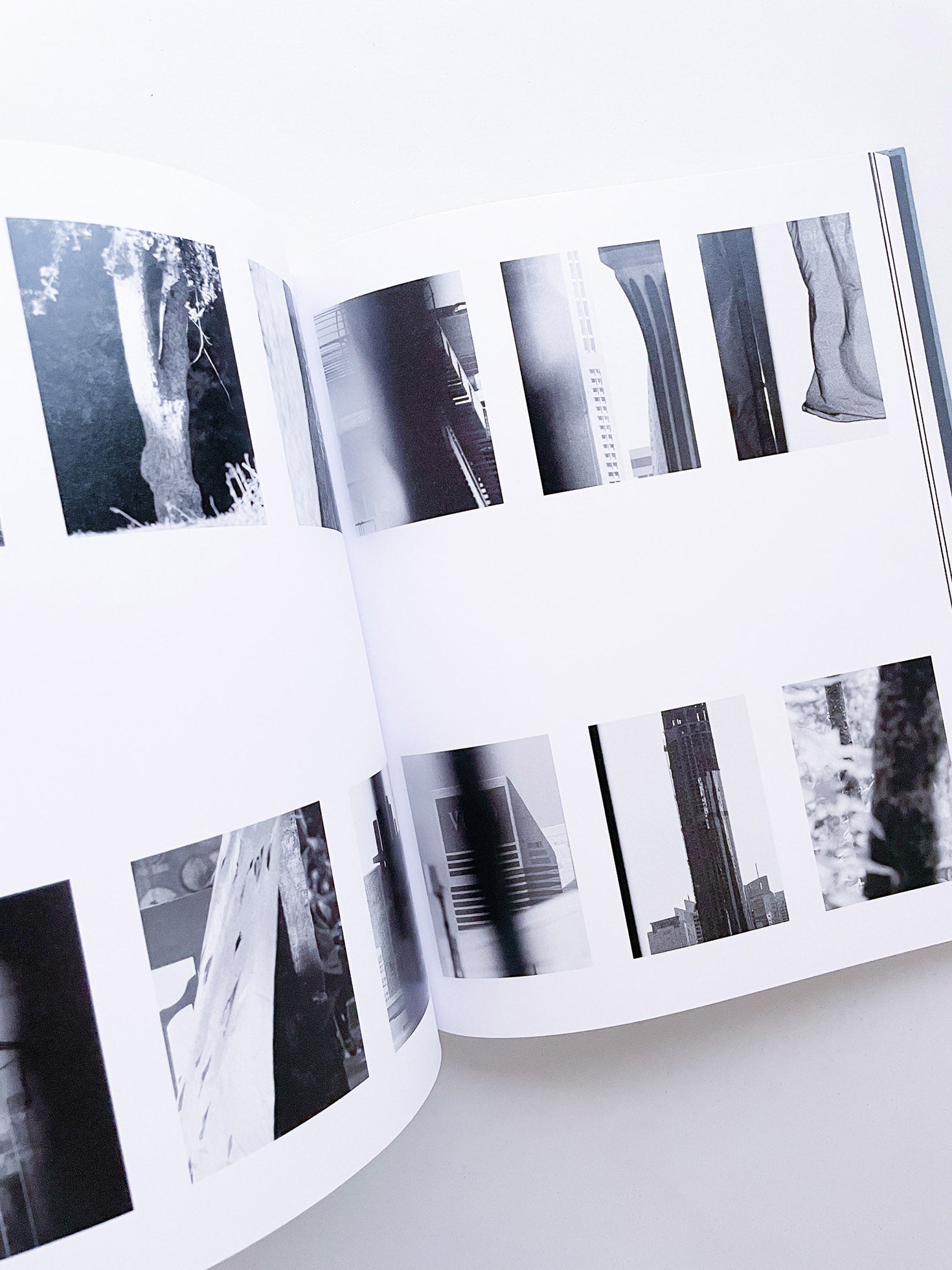 DISTRIBUTION / Daniel Shea [SIGNED]