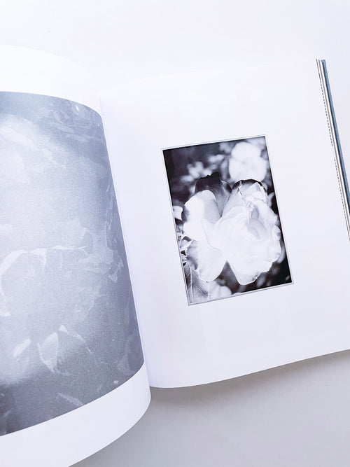 DISTRIBUTION / Daniel Shea [SIGNED]