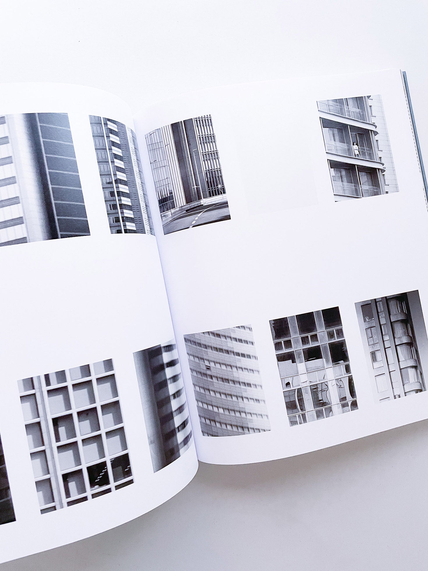 DISTRIBUTION / Daniel Shea [SIGNED]