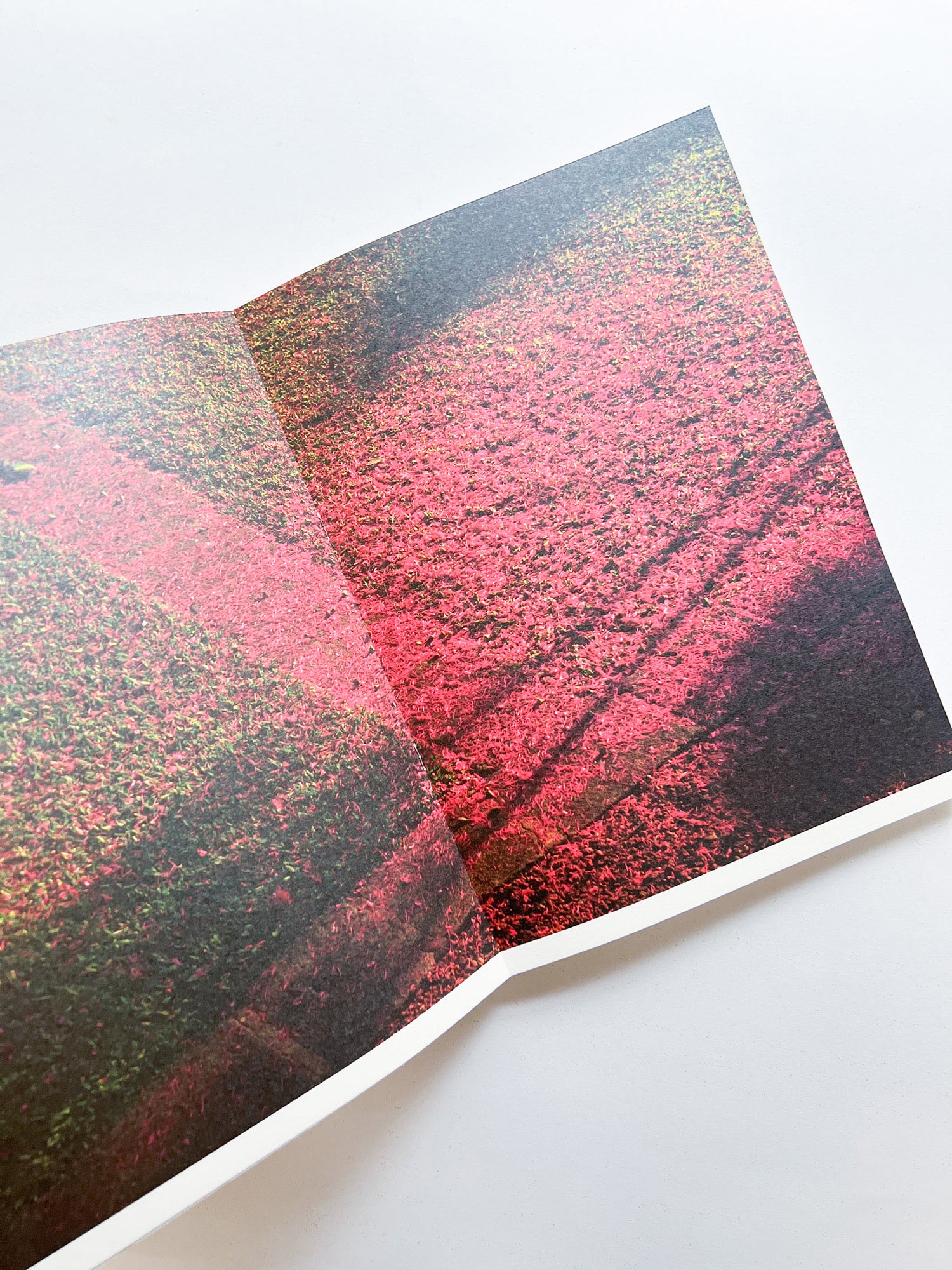 WERK No.34: DOORNBERG GALLE 1712 SRI LANKA [SIGNED]