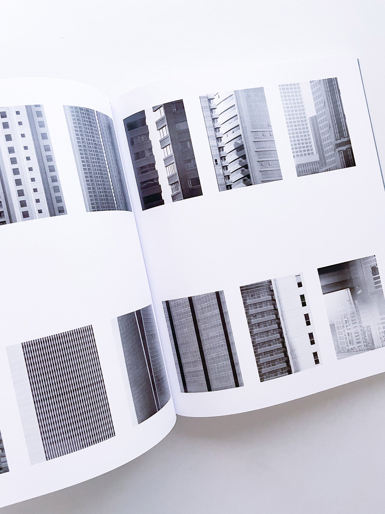 DISTRIBUTION / Daniel Shea [SIGNED]