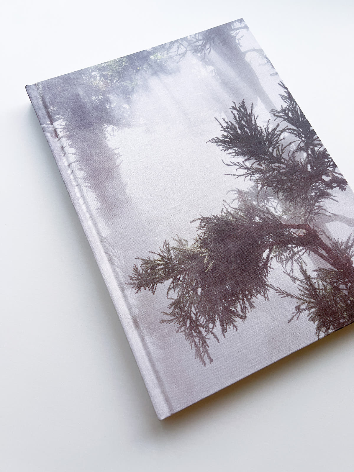 Cura's Garden / Ben Thorp Brown