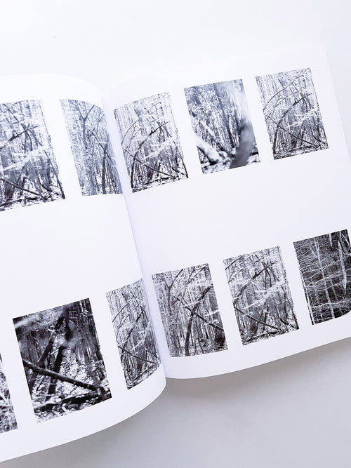 DISTRIBUTION / Daniel Shea [SIGNED]