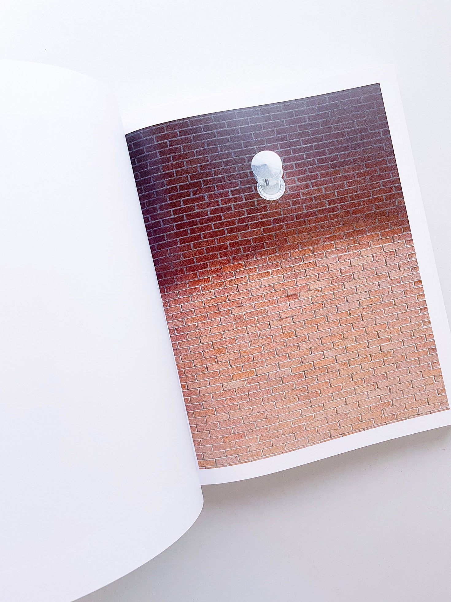 DISTRIBUTION / Daniel Shea [SIGNED]