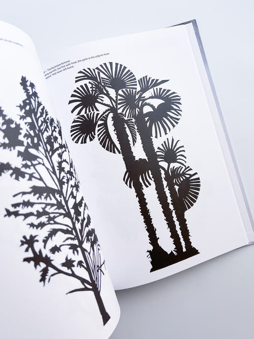 Cura's Garden / Ben Thorp Brown