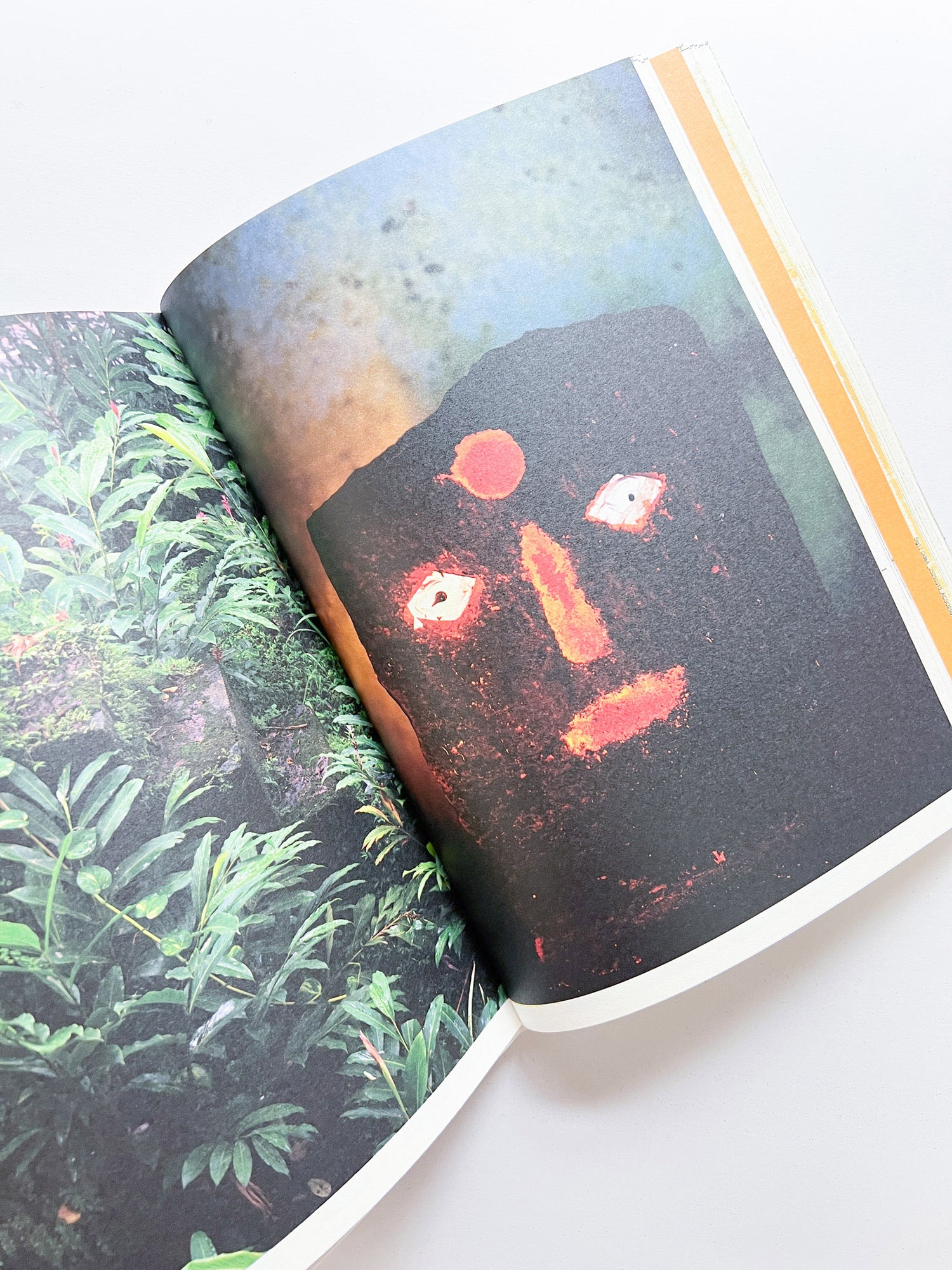 WERK No.34: DOORNBERG GALLE 1712 SRI LANKA [SIGNED]