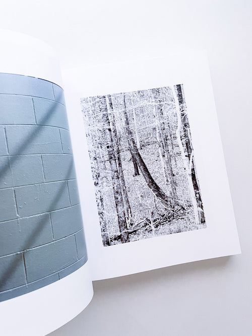 DISTRIBUTION / Daniel Shea [SIGNED]