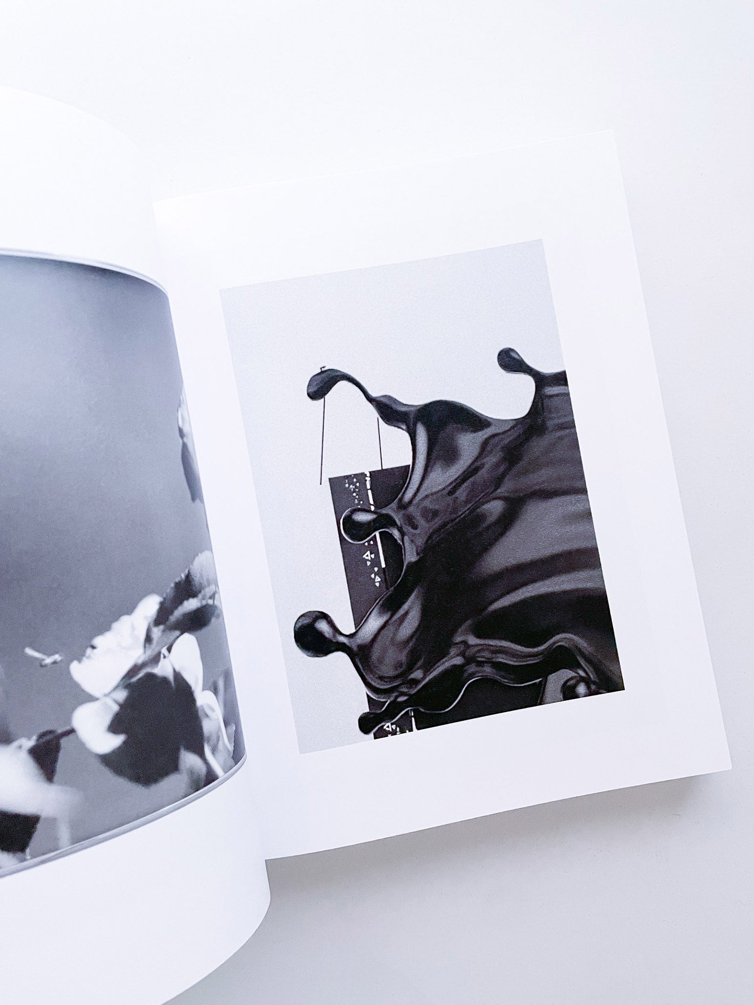 DISTRIBUTION / Daniel Shea [SIGNED]