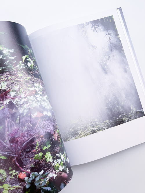 Cura's Garden / Ben Thorp Brown