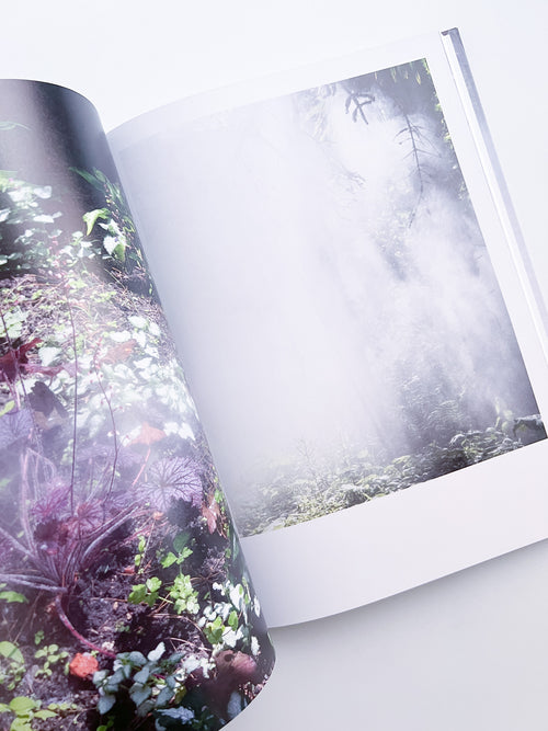 Cura's Garden / Ben Thorp Brown