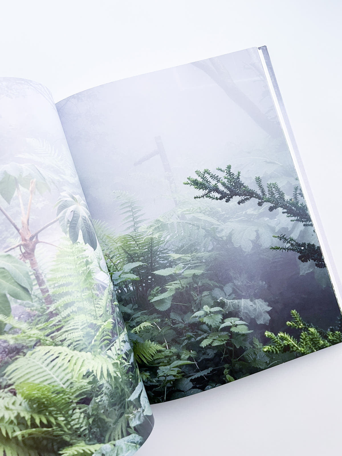 Cura's Garden / Ben Thorp Brown