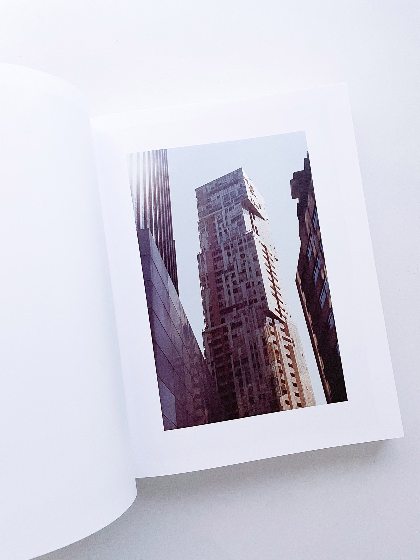 DISTRIBUTION / Daniel Shea [SIGNED]