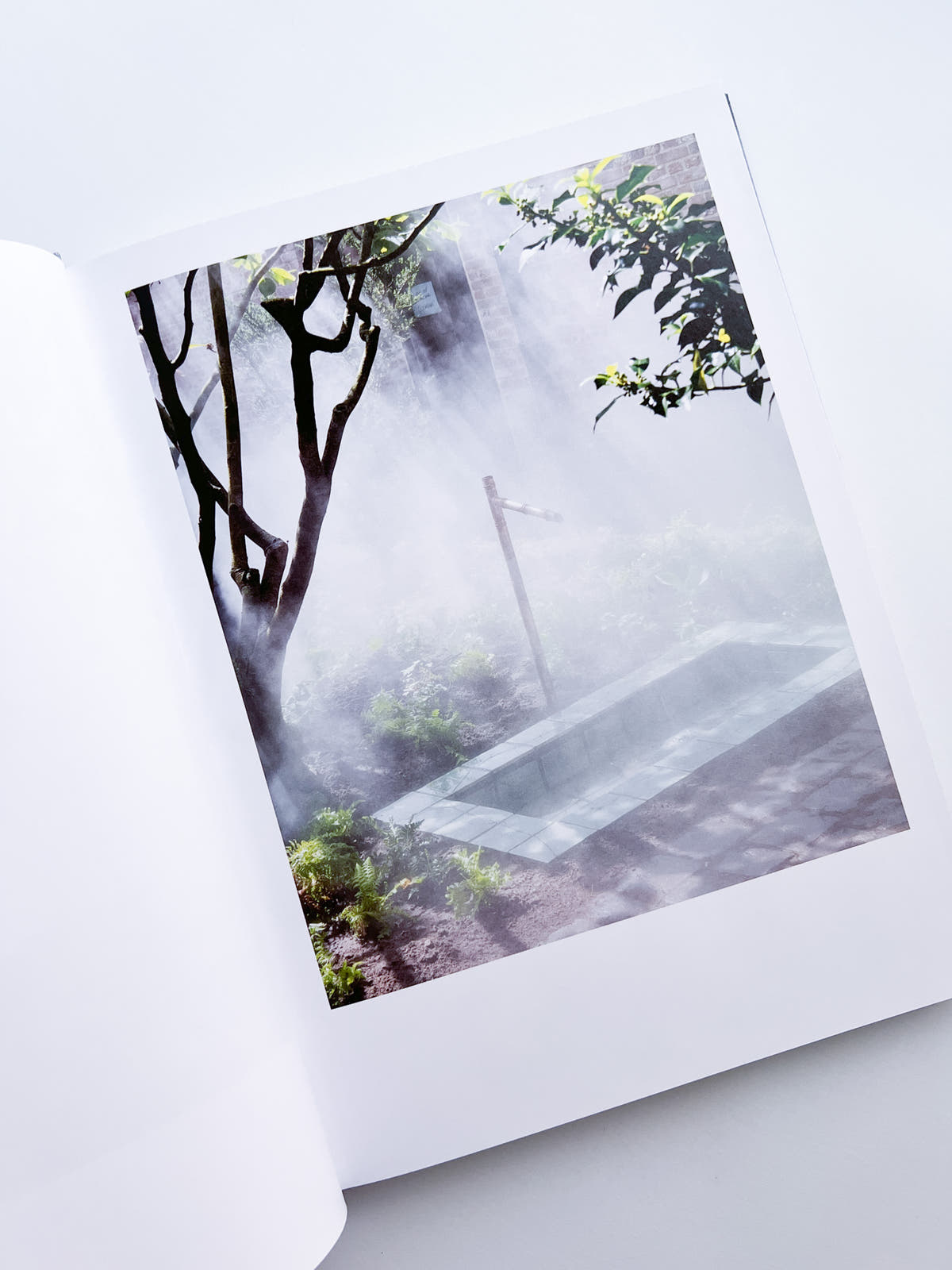 Cura's Garden / Ben Thorp Brown