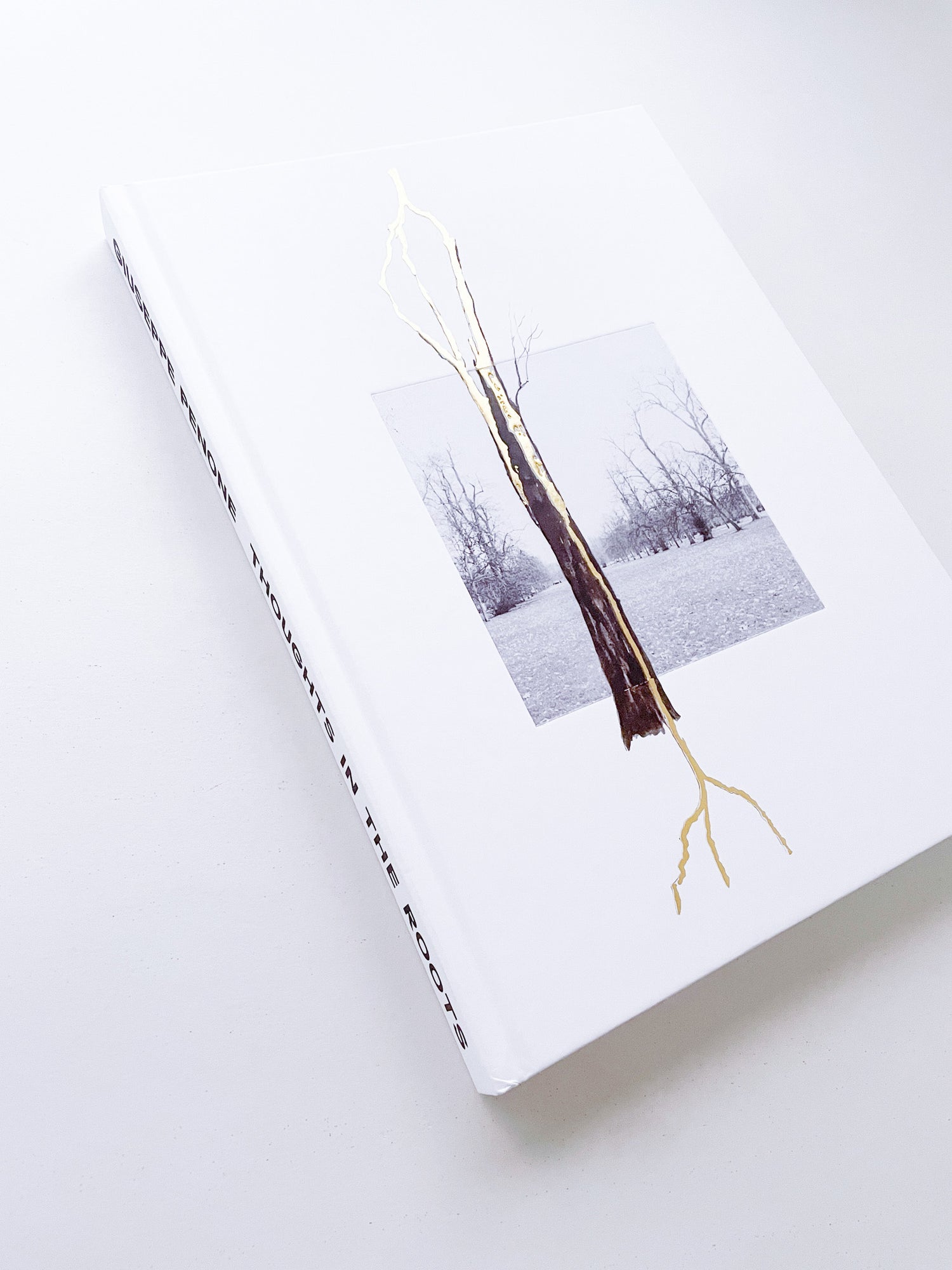 THOUGHTS IN THE ROOTS / Giuseppe Penone