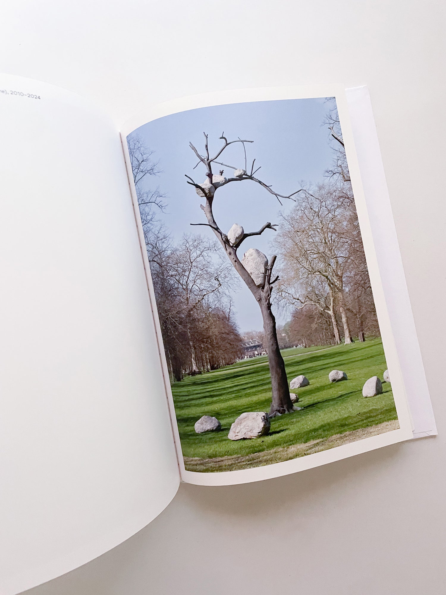 THOUGHTS IN THE ROOTS / Giuseppe Penone