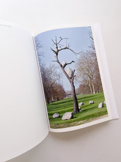 THOUGHTS IN THE ROOTS / Giuseppe Penone