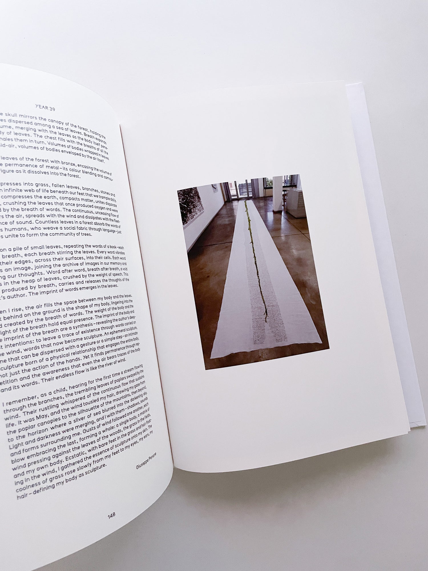 THOUGHTS IN THE ROOTS / Giuseppe Penone