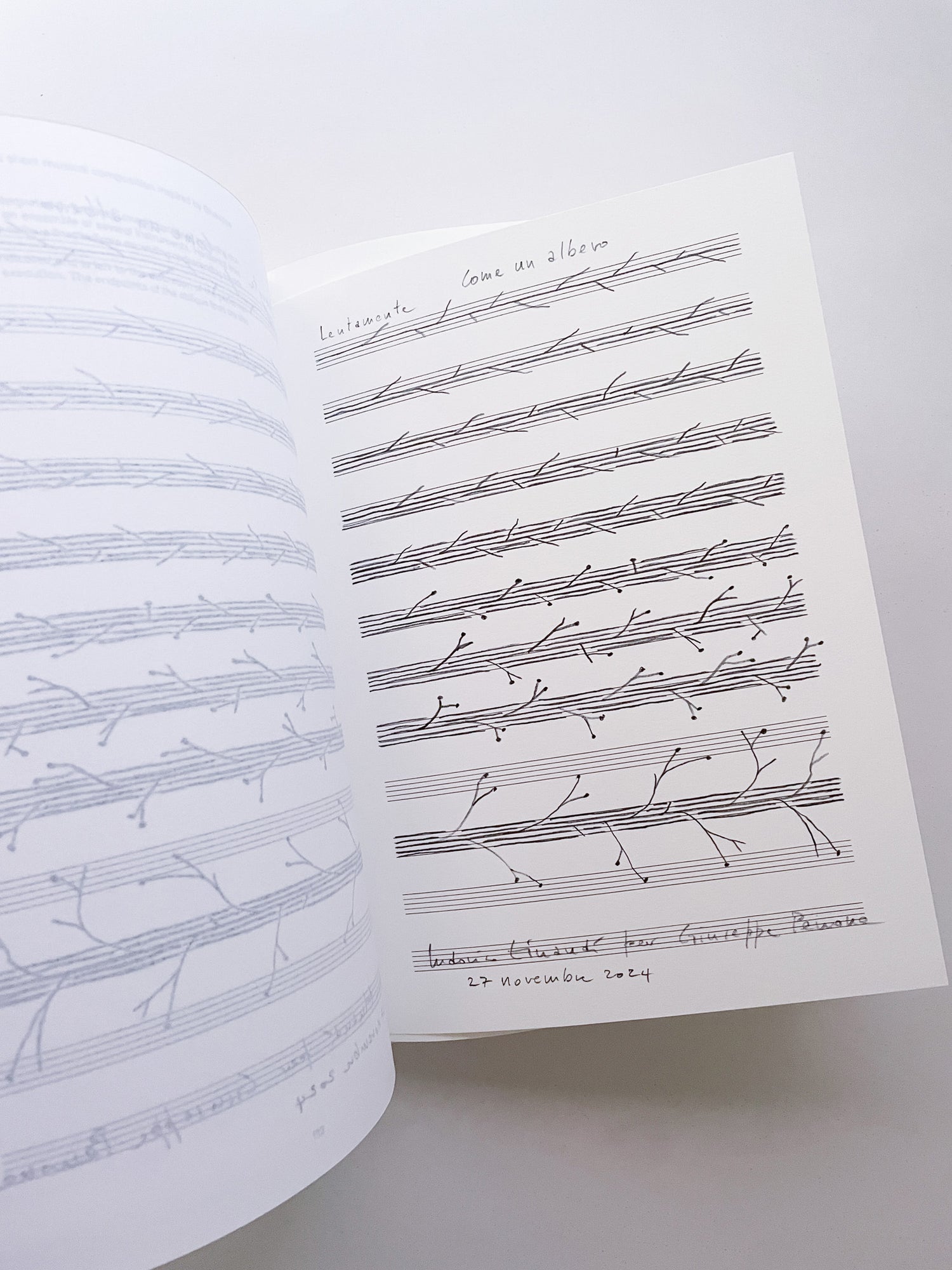 THOUGHTS IN THE ROOTS / Giuseppe Penone