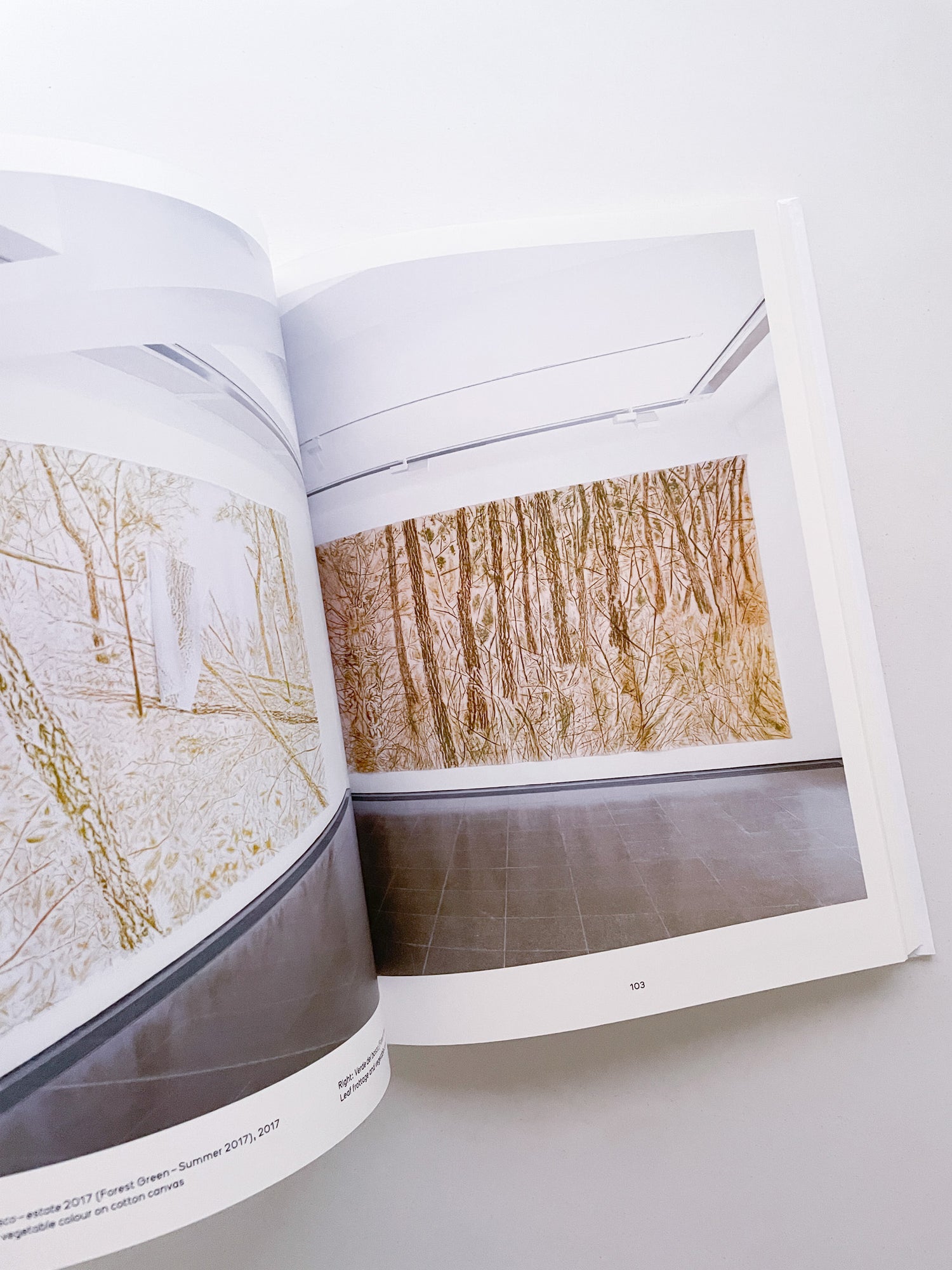 THOUGHTS IN THE ROOTS / Giuseppe Penone