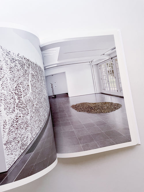 THOUGHTS IN THE ROOTS / Giuseppe Penone