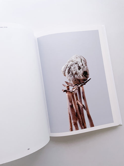 THOUGHTS IN THE ROOTS / Giuseppe Penone