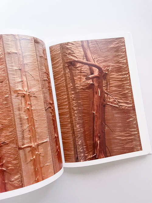 THOUGHTS IN THE ROOTS / Giuseppe Penone