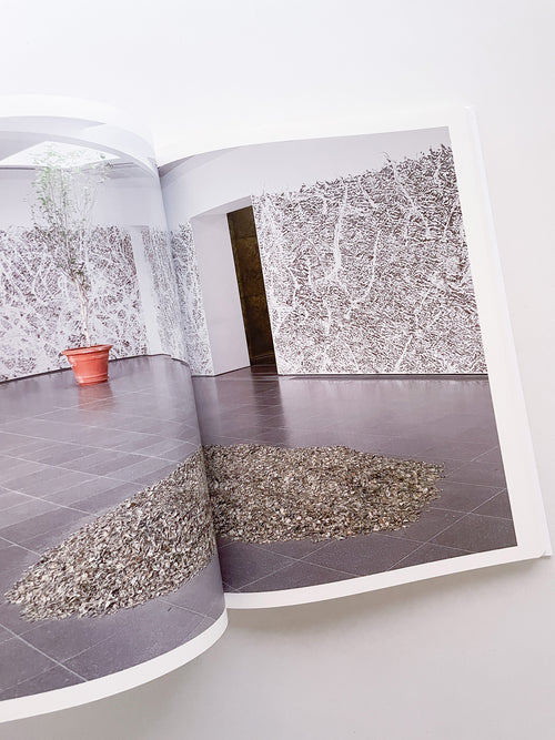 THOUGHTS IN THE ROOTS / Giuseppe Penone