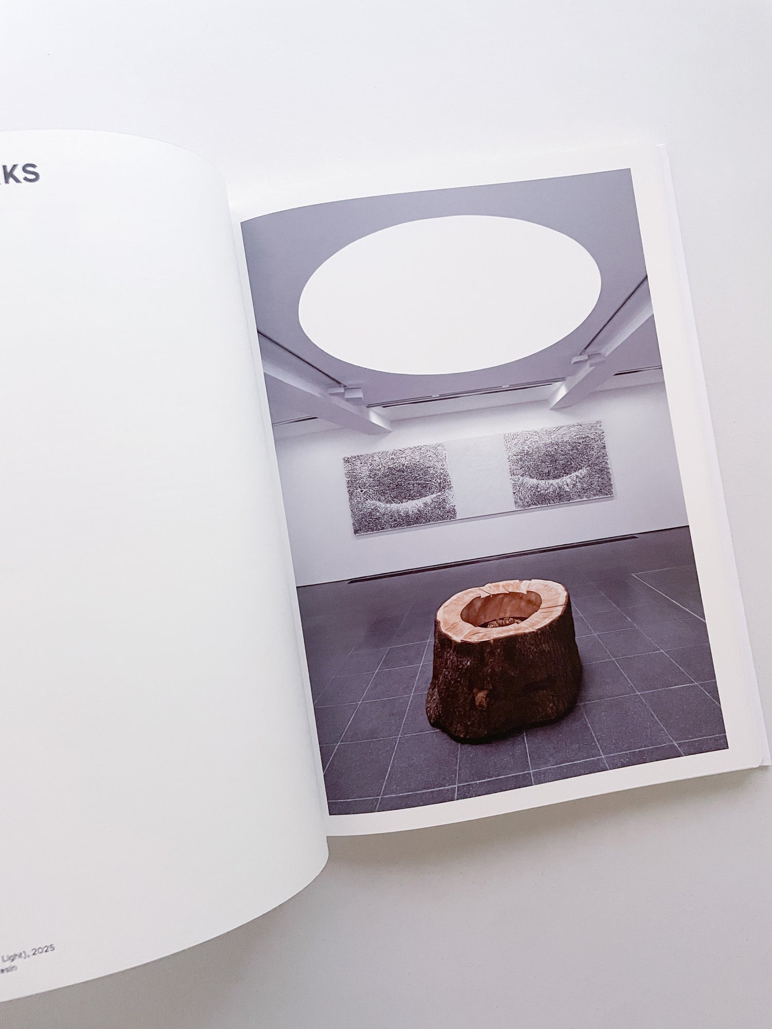 THOUGHTS IN THE ROOTS / Giuseppe Penone