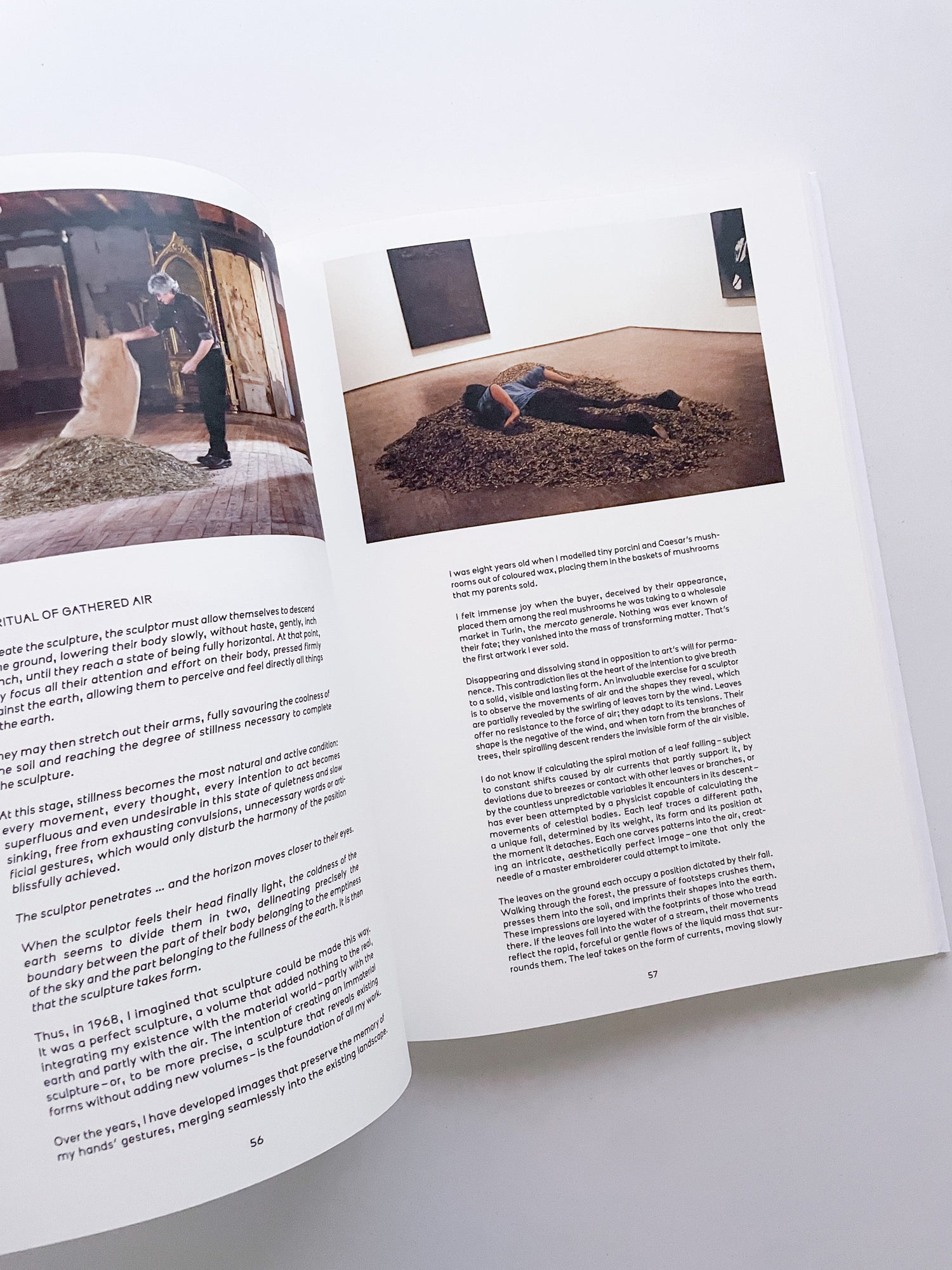 THOUGHTS IN THE ROOTS / Giuseppe Penone